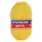 Пряжа "Аргентинская шерсть" 100% импортная п/т шерсть 200м/100гр (030 лимон) - Фото 2