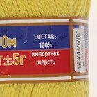 Пряжа "Аргентинская шерсть" 100% импортная п/т шерсть 200м/100гр (030 лимон) - Фото 3