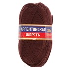 Пряжа "Аргентинская шерсть" 100% импортная п/т шерсть 200м/100гр (121 коричневый) - Фото 2