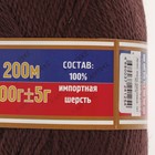 Пряжа "Аргентинская шерсть" 100% импортная п/т шерсть 200м/100гр (121 коричневый) - Фото 3