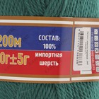 Пряжа "Аргентинская шерсть" 100% импортная п/т шерсть 200м/100гр (041 изумруд) - Фото 3