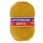Пряжа "Аргентинская шерсть" 100% импортная п/т шерсть 200м/100гр (099 св. горчица) - Фото 2