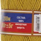 Пряжа "Аргентинская шерсть" 100% импортная п/т шерсть 200м/100гр (099 св. горчица) - Фото 3