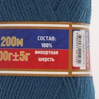 Пряжа "Аргентинская шерсть" 100% импортная п/т шерсть 200м/100гр (139 мор. волна) - Фото 3