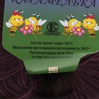 Пряжа "Карамелька" 100% акрил 175м/50гр (182 слива) - Фото 3