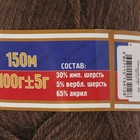 Пряжа "Северянка" 30% шерсть, 5% вербл. шерсть, 65% акрил 150м/100гр (233 кофе) - Фото 3