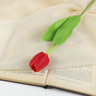 Цветы искусственные «Тюльпан», h=32 см, d=5 см, МИКС - Фото 1