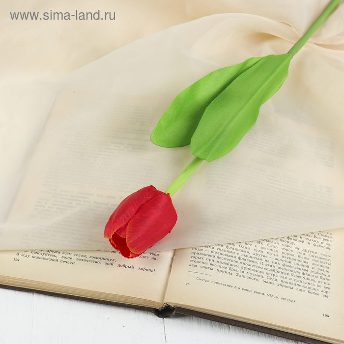 Цветы искусственные «Тюльпан», h=32 см, d=5 см, МИКС - Фото 1