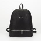 Рюкзак молодёжный, отдел на молнии, наружный карман, цвет чёрный - Фото 1
