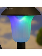 Садовая фигура - фонарь из полистоуна «Белка с орешком», 24×12×24 см 3622928