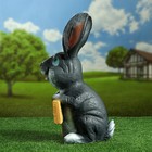 Садовая фигура из полистоуна «Заяц с табличкой», 45×22 см - Фото 2