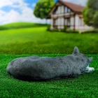 Садовая фигура из полистоуна «Кот Кузя», 13×24×40 см - Фото 11