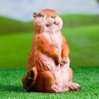 Садовая фигура "Суслик" 20х11см - Фото 1