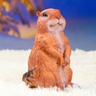 Садовая фигура "Суслик" 20х11см - Фото 4