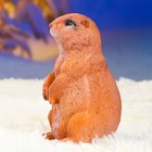Садовая фигура "Суслик" 20х11см - Фото 6