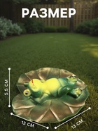 Садовая фигура из полистоуна «Лягушка на спине», 5.5×13×13 см - Фото 2