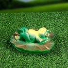 Садовая фигура из полистоуна «Лягушка на спине», 5.5×13×13 см - Фото 10
