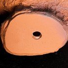 Подвесной декор из полистоуна «Белка на ветке», 26×19 см - Фото 7