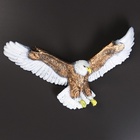 Подвесной декор из полистоуна «Орел летящий», 53×32 см - Фото 10