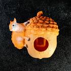 Подвесной декор "Орех-кормушка с белкой" 18х16см - Фото 4