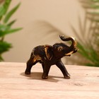 Сувенир бронза "Королевский слон" 15,5х7х12 см - Фото 1