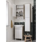 Зеркальный шкаф AQUATON Рико 50 белый, ясень фабрик 1A212302RIB90 3600611 - фото 319327742