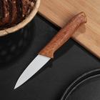 Нож кухонный кухонный с антиналипающим покрытием Доляна «Альберо.Вайт», лезвие 8,5 см - Фото 1
