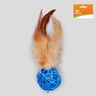Игрушка для кошек «Шар из лозы с пером», 3.8 см, микс цветов - Фото 2