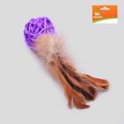 Игрушка для кошек «Шар из лозы с пером», 3.8 см, микс цветов - Фото 3