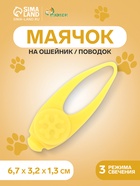 Оранжевый