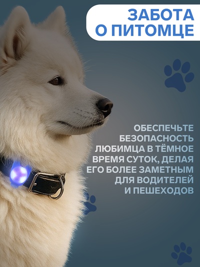 Световой маячок на ошейник/поводок «Лапка», 3 режима свечения, 3.2 см, силикон, синий