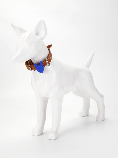 Световой маячок на ошейник/поводок «Лапка», 3 режима свечения, 3.2 см, силикон, синий