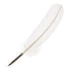 Перо гусиное Manuscript микс 10 цветов, блистер - Фото 1