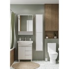 Тумба под раковину AQUATON Рико 65 белый, ясень фабрик 1A213301RIB90 - Фото 7