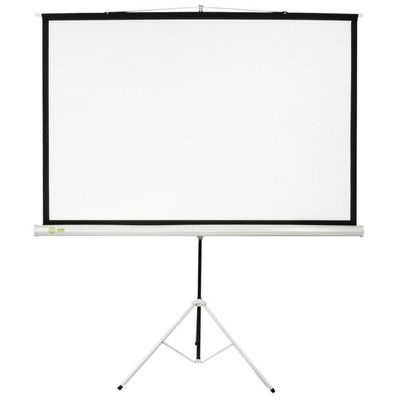 Экран Cactus 150x150 Triscreen CS-PST-150x150 1:1, напольный, рулонный