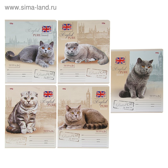 Тетрадь 24 листа в линейку "Британские коты", обложка мелованный картон, МИКС - Фото 1