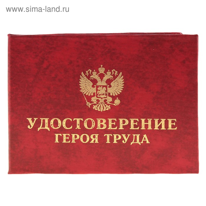 Герой труда россии как выглядит