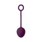 Набор вагинальных шариков Svakom Nova, цвет фиолетовый - Фото 2
