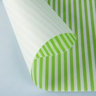 Бумага упаковочная крафт "Полоски салатовые", 0,5 х 10 м, 70 г/м² /м2 - Фото 3