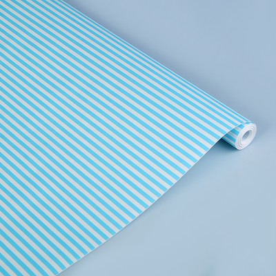 Бумага упаковочная крафт "Полоски голубые", 0,5 х 10 м, 70 г/м² /м2