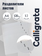 Набор разделителей листов А4 Office-2000, по месяцам ЯНВ-ДЕК, 12 листов, серые, пластик 120 мкм - Фото 1