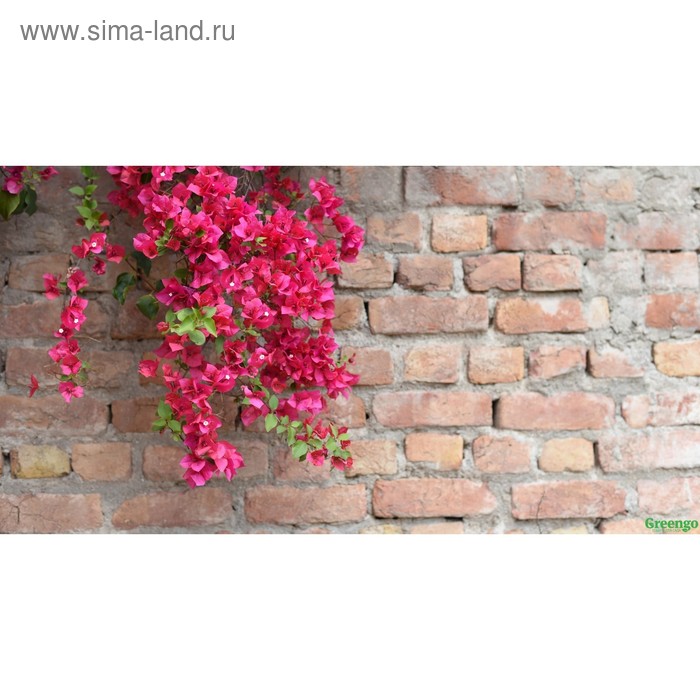 Фотосетка, 300 × 158 см, с фотопечатью, люверсы шаг 1 м, «Красные цветы» - Фото 1