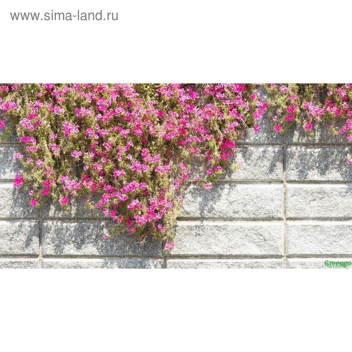 Фотобаннер, 300 × 160 см, с фотопечатью, люверсы шаг 1 м, «Стена с цветами» - Фото 1