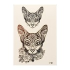 Татуировка переводная "Кошки" (012) - Фото 1