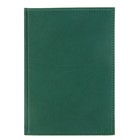 Ежедневник недатированный А5, 160 листов, Вивелла зеленый, обложка кожзам - Фото 1