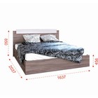 Кровать двуспальная «Леони», 1600×2000 мм, цвет ясень шимо светлый/ясень шимо тёмный - Фото 3