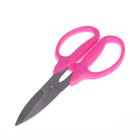 Ножницы садовые, 7" (18 см), пластиковые ручки. цвет МИКС, Greengo - Фото 2