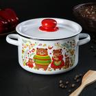 Кастрюля эмалированная «Рябина», 2.9 л, d=20 см, цилиндрическая, и, рисунок, МИКС - Фото 5