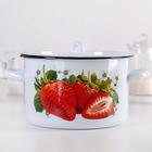 Кастрюля эмалированная «Рябина», 2.9 л, d=20 см, цилиндрическая, и, рисунок, МИКС - Фото 6