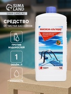Средство для предотвращения роста водорослей в бассейне Концентрат«Максисан-альгицид», 1 л - Фото 1